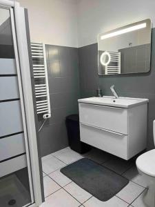 un bagno con lavandino e specchio di Appartement cosy a Saint-Laurent-de-la-Salanque