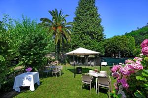 a garden with tables and chairs and a palm tree at El pucheru 4 Almas in Barcenaciones