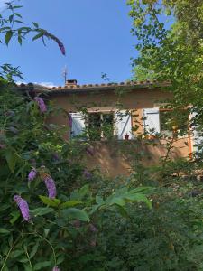 a house obscured by trees and purple flowers at Le Jardin in Rennes-les-Bains +8 photos