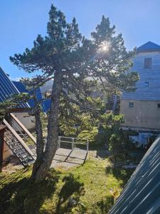 Κήπος έξω από το Chalet Le Casalandre