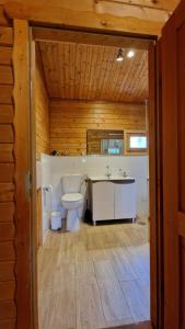 a bathroom with a toilet and a sink at Chalet Villa Mosquito in Silves +36 photos