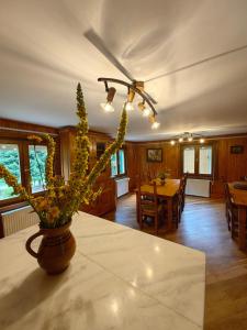 Fotografie z fotogalerie ubytování Raw Nature Cabin v destinaci Vama Buzăului