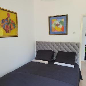 Gallery image of kosmaj 100 in Babe +3 photos