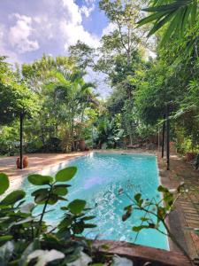 a swimming pool in a garden with trees at oasis en la ciudad in Eldorado