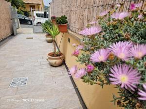Vonkajšia záhrada v ubytovaní Villa Kate Pula Sardegna