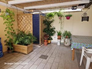 Patio alebo iná vonkajšia časť ubytovania Villa Kate Pula Sardegna
