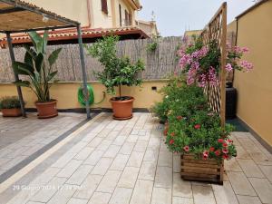 Vonkajšia záhrada v ubytovaní Villa Kate Pula Sardegna