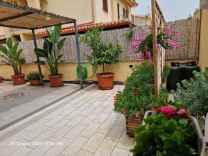 Vonkajšia záhrada v ubytovaní Villa Kate Pula Sardegna
