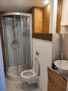 a bathroom with a shower and a toilet and a sink at Appartement moderne proche Paris, aéroport et disneyland in Le Perreux-Sur-Marne