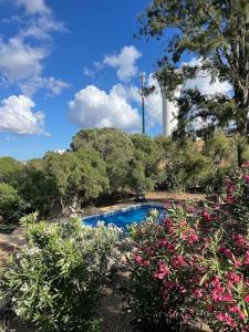 a pool of water in a garden with flowers at HI Portimão - Pousada de Juventude in Portimão