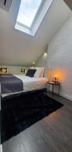 a bedroom with a large bed with a skylight at La Maison V.H., Appartements d'Hôtes in Troyes