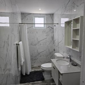a bathroom with a toilet and a sink at Latitude Adjustment in San Juan
