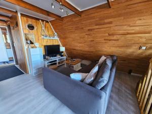a living room with a couch and a television at Chalet Le Casalandre in Arette