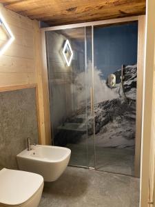 a bathroom with a shower and a toilet and a sink at Stilish wooden chalet fully renovated near the lifts in Alagna Valsesia +34 photos