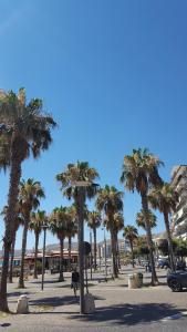 a group of palm trees in a parking lot at Casa Athena in Crotone