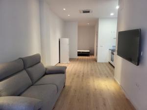 Una sala de estar con un sofá y un televisor de pantalla plana. en Apartamento Cienciasmar, en Valencia