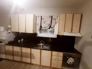 Kuchyň nebo kuchyňský kout v ubytování Village Nest