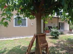 Zahrada ubytování Village Nest