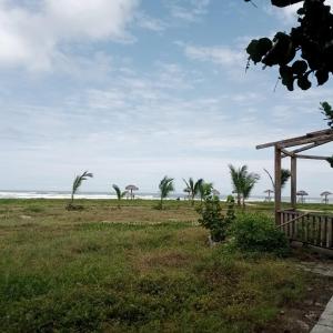 a view of a field with palm trees and the ocean at Baja Beach Los Manglares in Canoa +3 photos