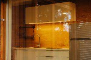 a kitchen with a sink and a cupboard at GOZDNE VILE va VRTI in Kostel