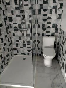a bathroom with a toilet and a shower at Le relax max in Le Puy-en-Velay +11 photos