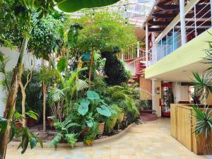 an indoor garden with plants and trees in a building at Hotel Barrio Antiguo in San Cristóbal de Las Casas