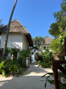 Vườn quanh Helwas Zanzibar Beach Hotel