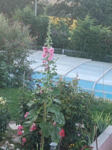 Φωτογραφία από το άλμπουμ του Gite rural du domaine des Imbertariés σε Puylaurens