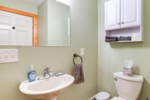 ein Badezimmer mit Waschbecken, Toilette und Spiegel in der Unterkunft Peaceful Conway Home with Fire Pit and Grill in Conway + 28 Fotos