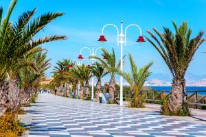 een trottoir met palmbomen en straatverlichting bij Dreams Holidays in Gran Alacant