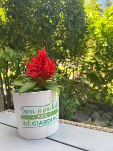 Zahrada ubytování CASA VITTORIA