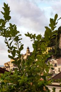 a leafy tree with buildings in the background at Amalfi Luxury House in Amalfi