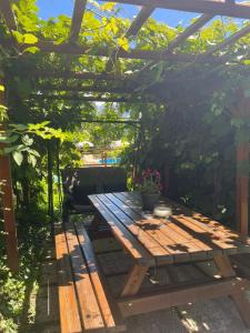 Zahrada ubytování Casa Rina