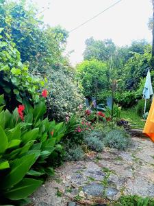a garden with flowers and plants and an umbrella at Apartment Sea Garden in Ičići