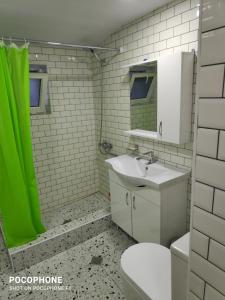 un bagno con lavandino e tenda doccia verde di Green Hostel a Gorists'ikhe