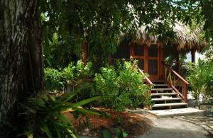 Giardino di Turtle Inn by Francis Ford Coppola