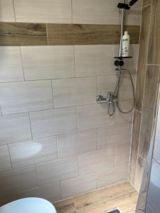 a bathroom with a shower with a toilet at Deni&Dino in Lohovo +30 photos