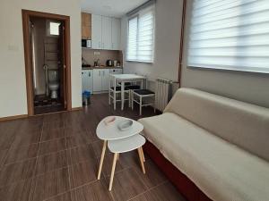Kuchyň nebo kuchyňský kout v ubytování Studio apartman "Kutak DIVUS"