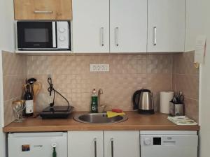 Kuchyň nebo kuchyňský kout v ubytování Studio apartman "Kutak DIVUS"