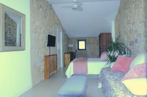 a bedroom with a bed and a couch and a tv at Pedras Vellas in Coaxe