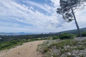 a dirt road with a tree on the side of a hill at Maisonnette chez l'habitant in La Ciotat +2 photos
