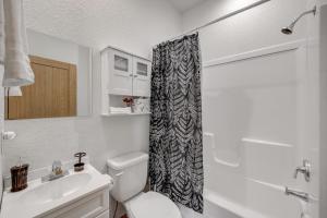 a bathroom with a white toilet and a shower curtain at Studio Condo Near Lake Pepin - King Bed - Dewdrop in Pepin