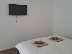 TV a/nebo společenská místnost v ubytování Studio apartman "Kutak DIVUS"