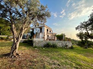 a house in a field with a tree at Agriturismo Serre in SantʼAgata di Militello +43 photos