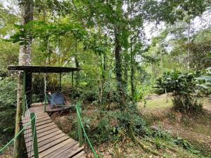 drewniany most w środku lasu w obiekcie Toucan Hideout with Plunge Pool w mieście Puerto Viejo