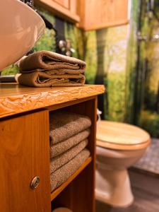 a bathroom with a sink and a toilet and towels at Natur-Resort Tripsdrill in Cleebronn +47 photos