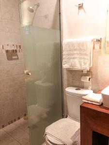 ein Badezimmer mit Dusche und Toilette sowie Handtüchern in der Unterkunft Suites Hamburgo in Mexiko-Stadt + 32 Fotos