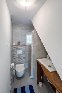 a bathroom with a toilet and a sink at Casa Placa in Kornić +28 photos