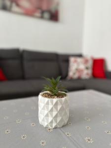Fotografie z fotogalerie ubytování Modern and Bright 5 Bedroom Apartment Del Prado v destinaci Gandía