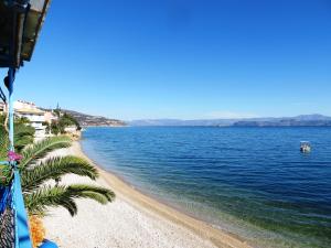 ein Strand mit einer Palme neben dem Wasser in der Unterkunft Blue Sky Studios in Xiropigado + 56 Fotos